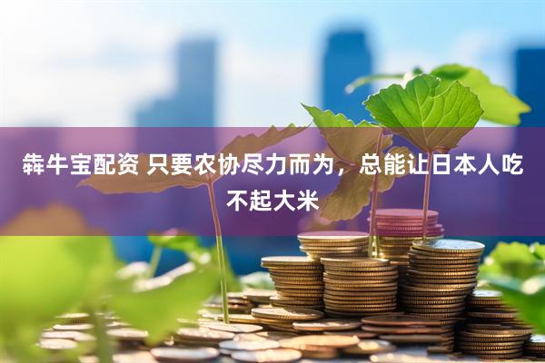 犇牛宝配资 只要农协尽力而为，总能让日本人吃不起大米