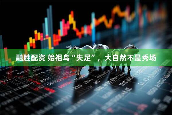 融胜配资 始祖鸟“失足”，大自然不是秀场